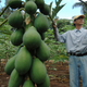 Image for article titled If You Want a Glimpse of the Future Food Wars, Look to Hawaii
